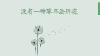 没有一种草不会开花