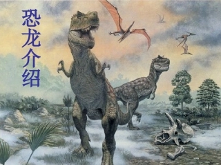 恐龙介绍演示文稿