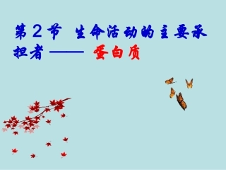 生命活动的主要承担者--蛋白质