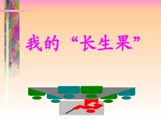 《我的“长生果”》课件