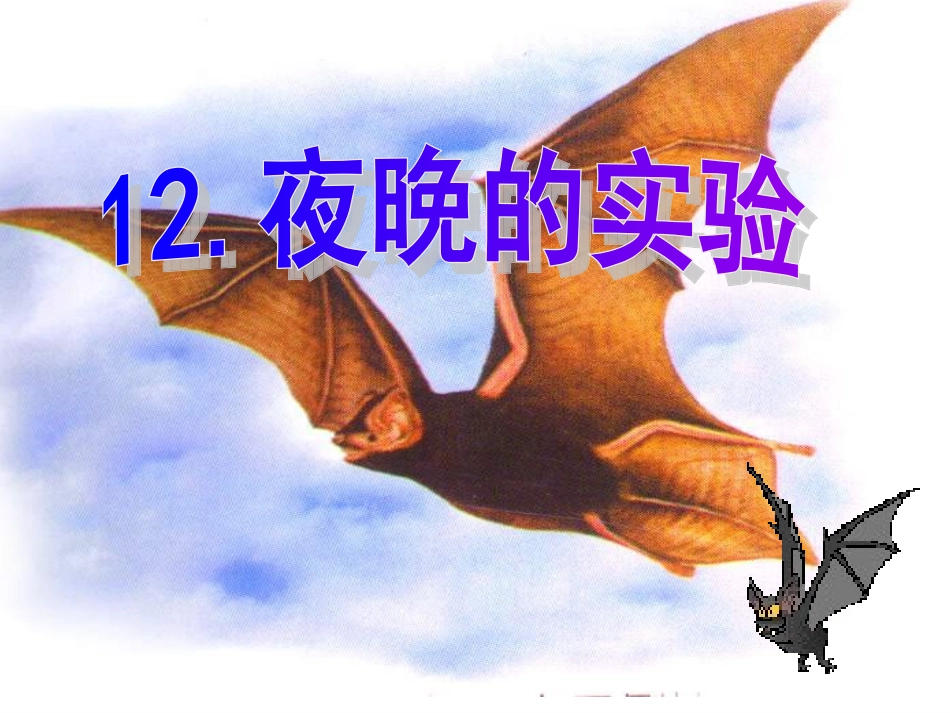 夜晚的实验新_第1页