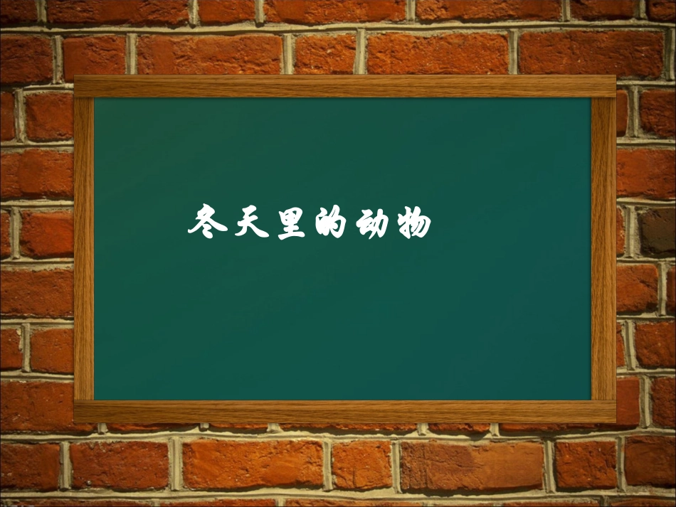 冬天里的动物_第1页