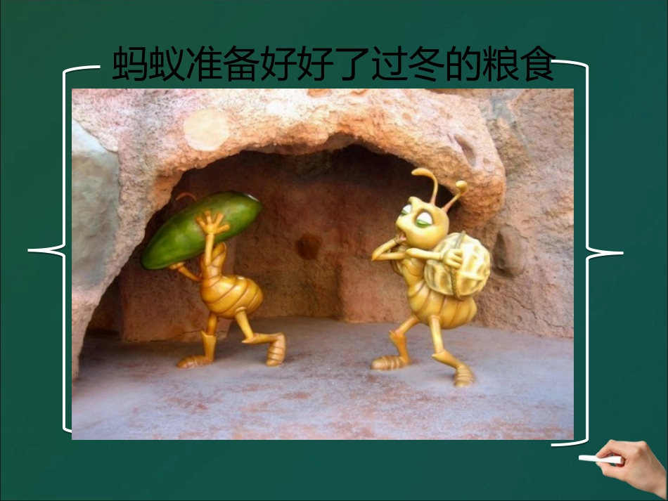 冬天里的动物_第3页