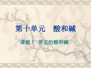 九年级化学常见的酸和碱指示剂