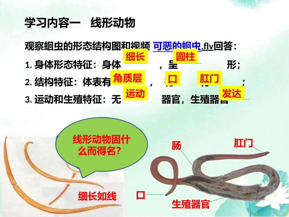 七年级人教版生物上册：生物的特征(教用)课件_第3页