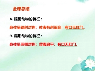 七年级人教版生物上册：生物的特征(教用)课件