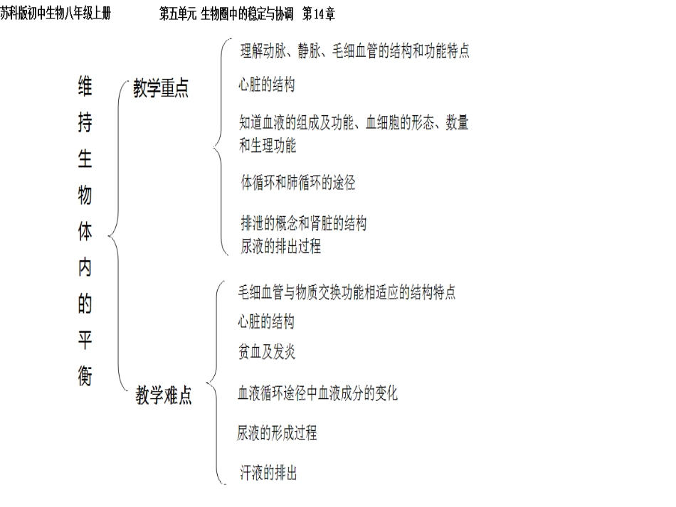 维持生物体内的平衡重难点_第1页