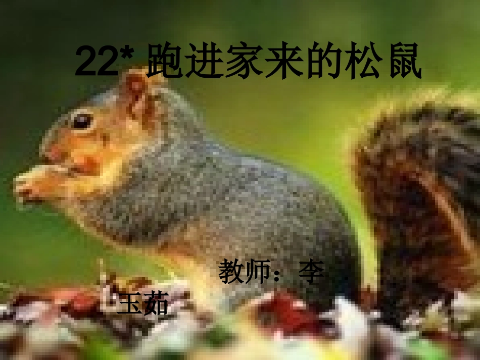 跑进家里的松鼠_第1页