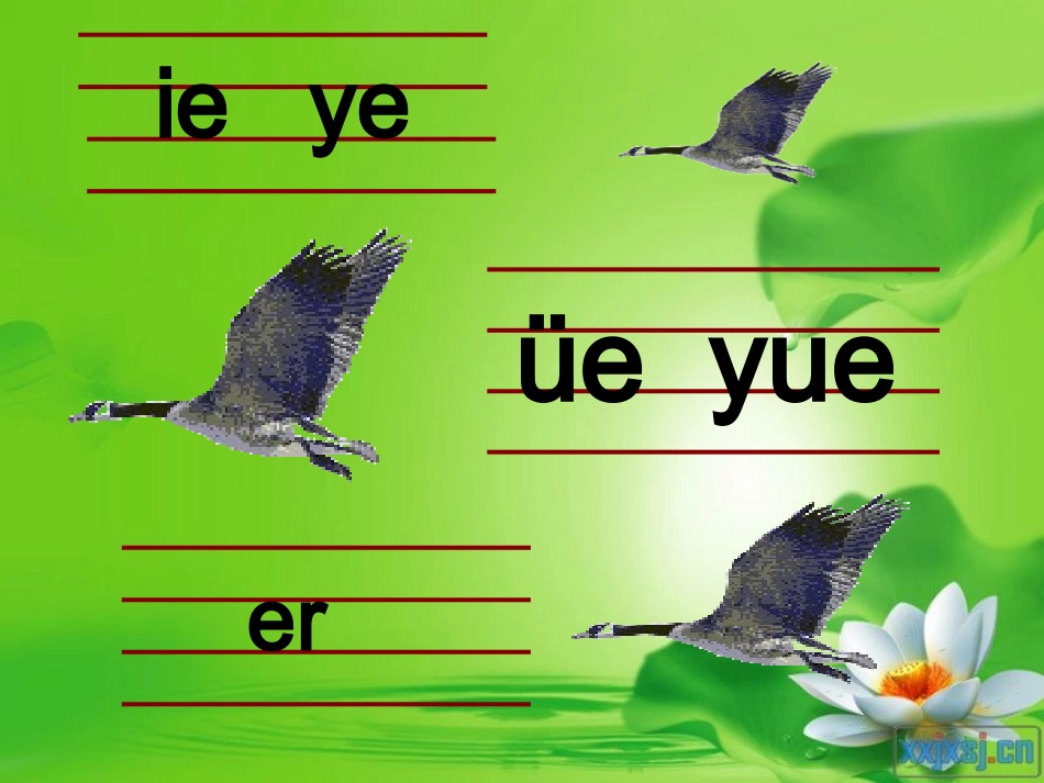 ie_ve_er第二课时_第1页