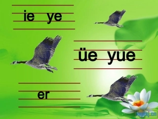 ie_ve_er第二课时