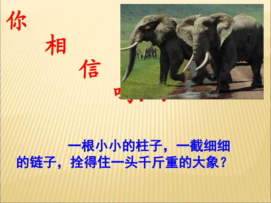 复件好习惯养成主题班会_第1页