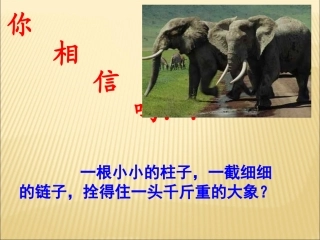 复件好习惯养成主题班会