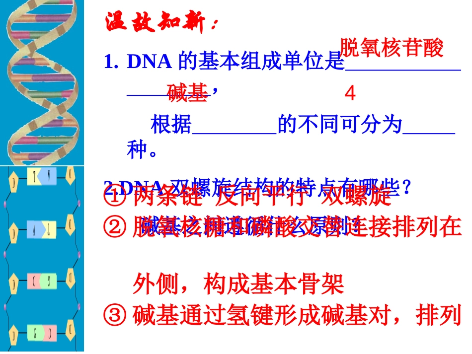第三节《DNA的复制》_第1页