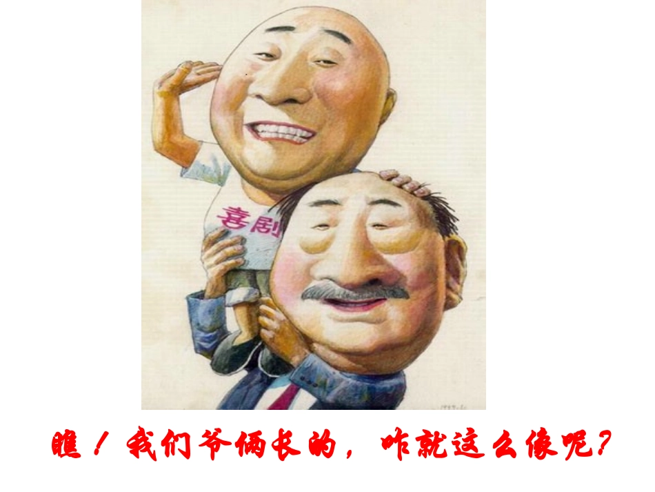 第三节《DNA的复制》_第2页