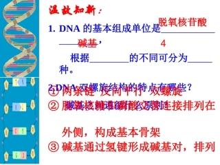 第三节《DNA的复制》