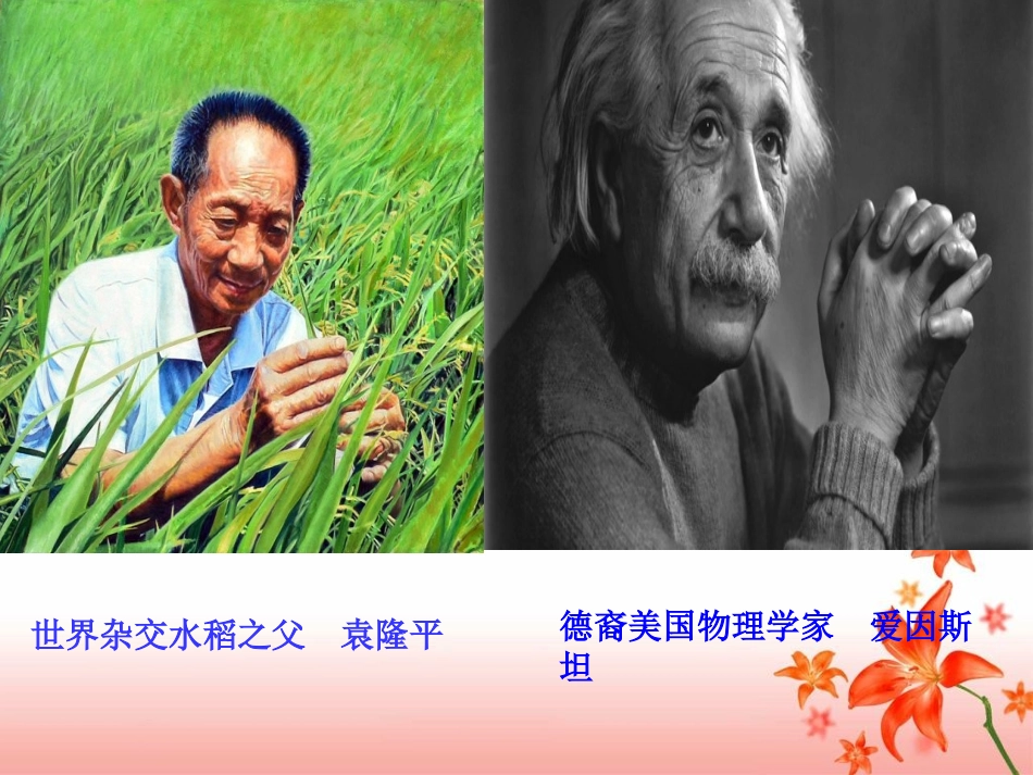 《跨越百年的美丽》教学课件_第1页
