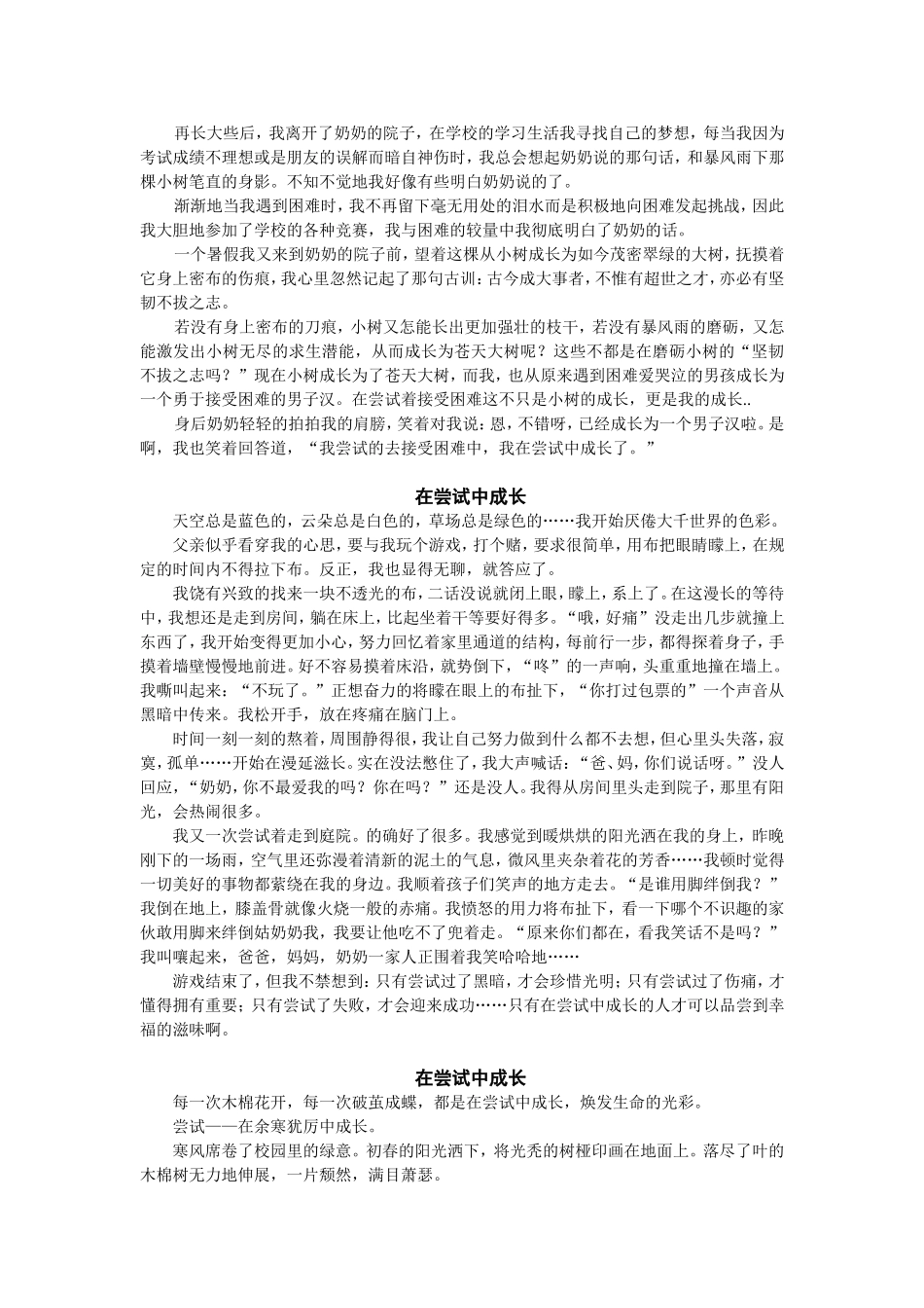 在尝试中成长_第2页