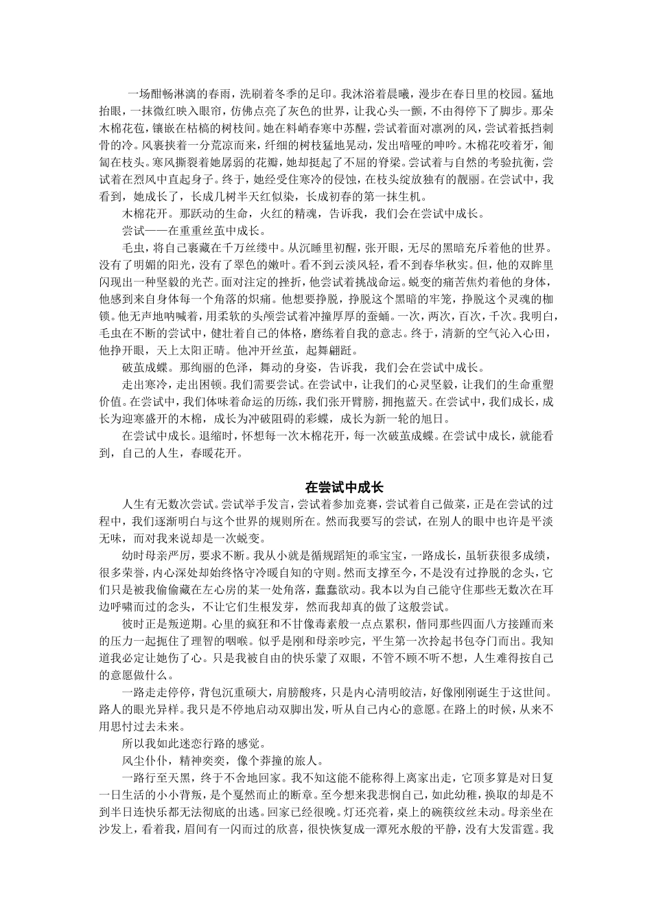 在尝试中成长_第3页