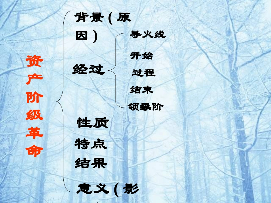 英、法、美资产阶级革命课件_第2页
