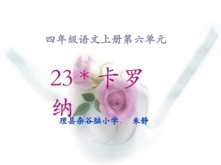 （人教版）四年级语文上册课件卡罗纳PPT