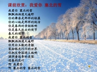 《雪》吕虹霞