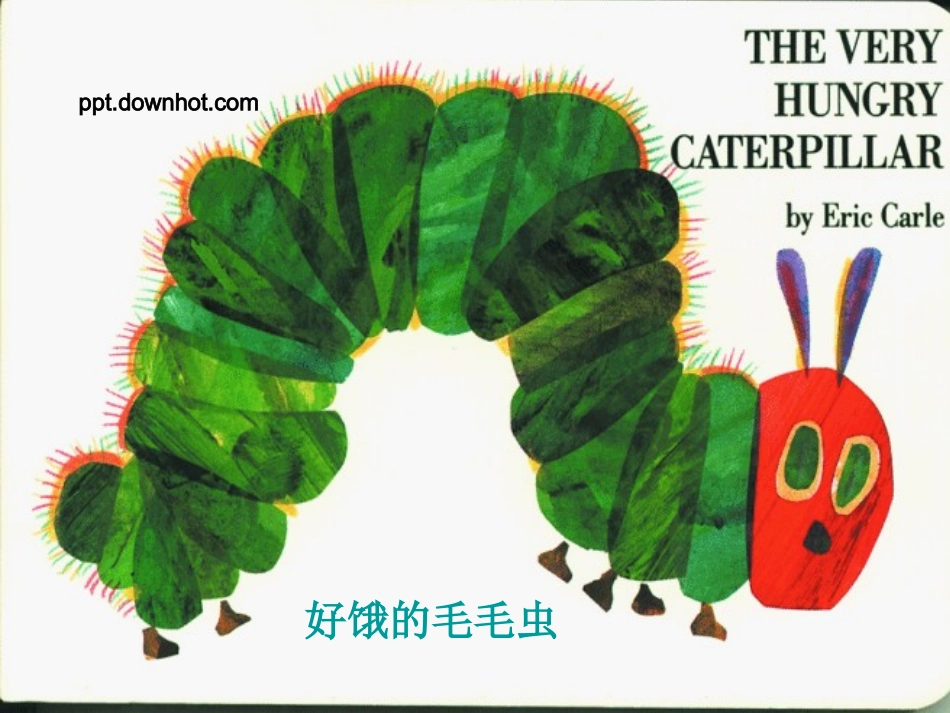 饥饿的毛毛虫模板_第1页