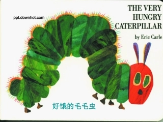 饥饿的毛毛虫模板