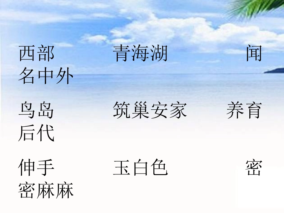 《鸟岛》课件_第2页