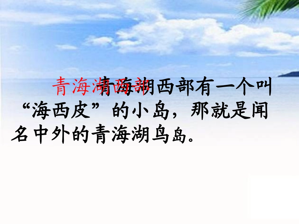 《鸟岛》课件_第3页