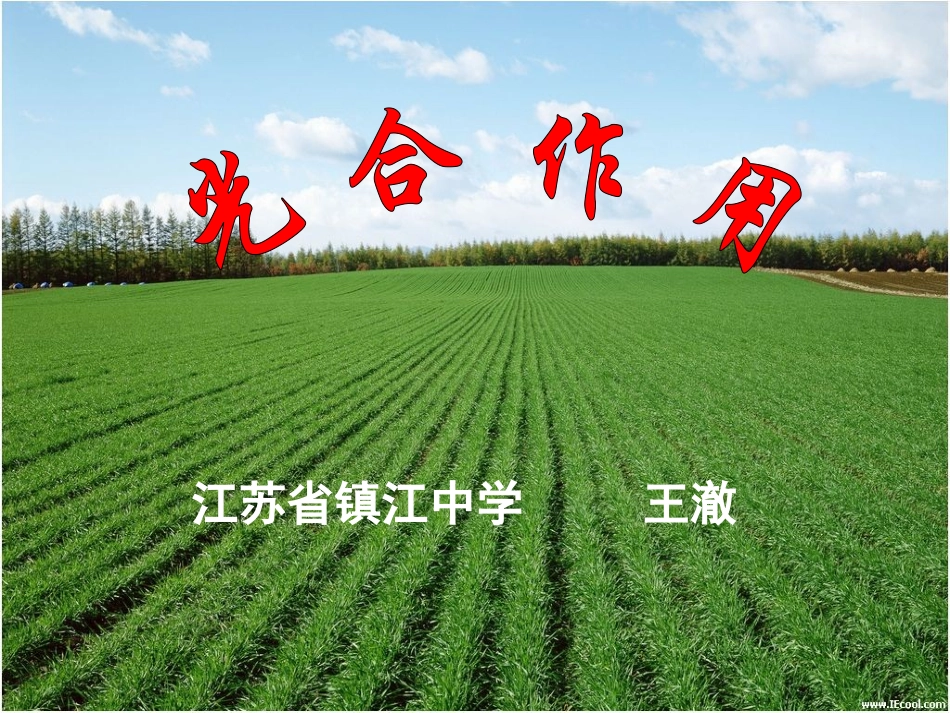 光合作用说课_第1页