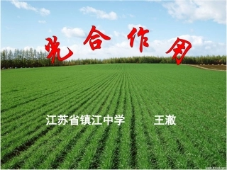光合作用说课
