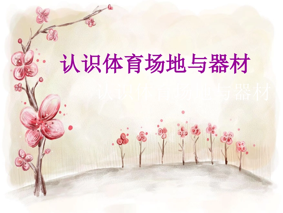 认识体育场地与器材_第1页