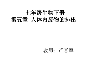 人体废物的排出课件