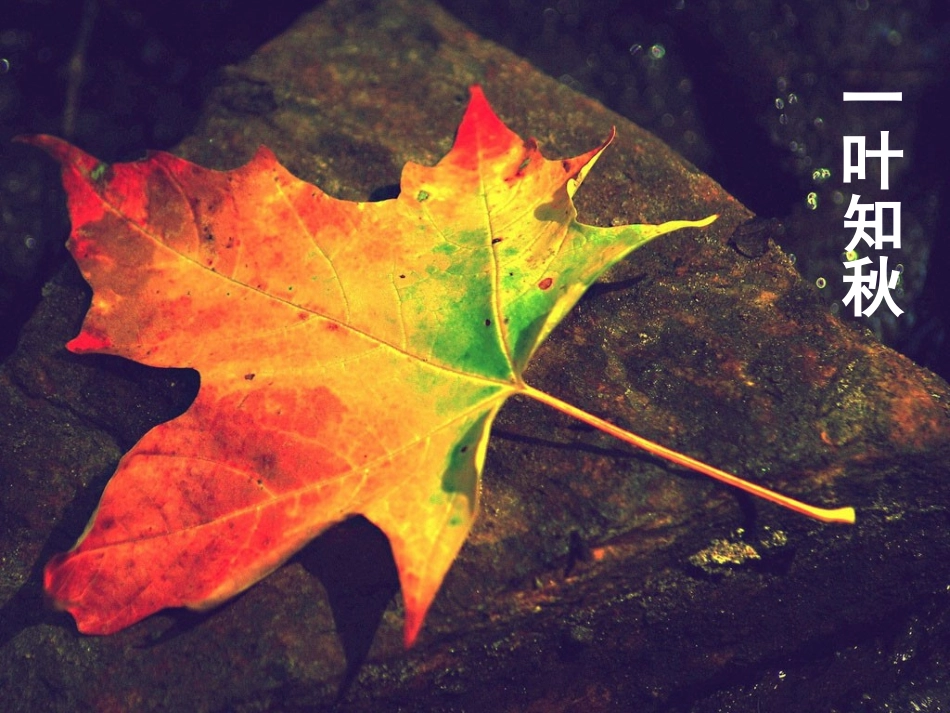 从条件思考的策略（评比）_第2页