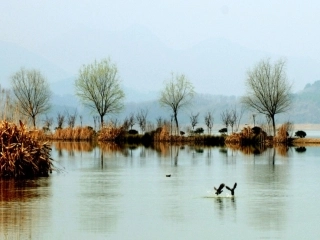 从条件思考的策略（评比）