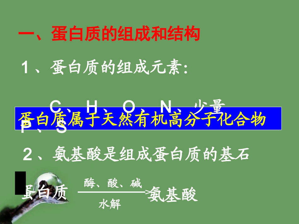 《_生命的基础——蛋白质》_第2页