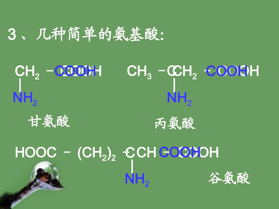 《_生命的基础——蛋白质》_第3页