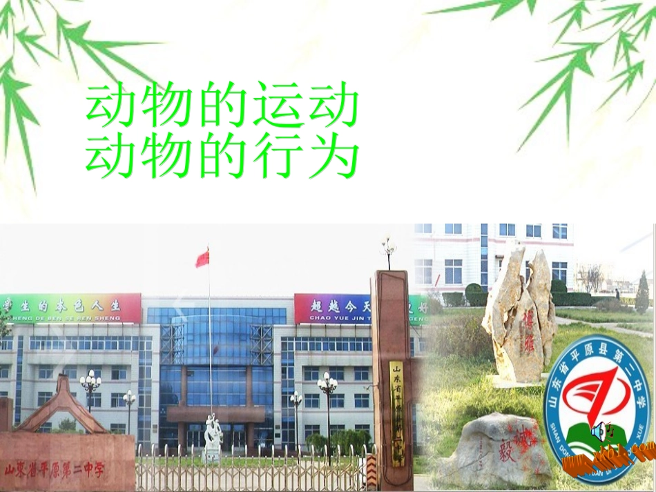 动物的运动，行为_第1页