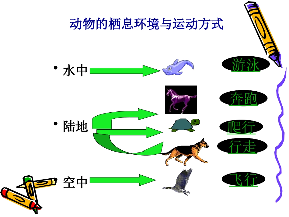 动物的运动，行为_第2页