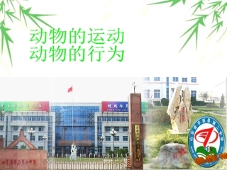 动物的运动，行为