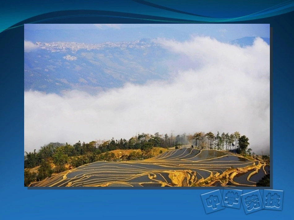 摄影的构图形式_第2页