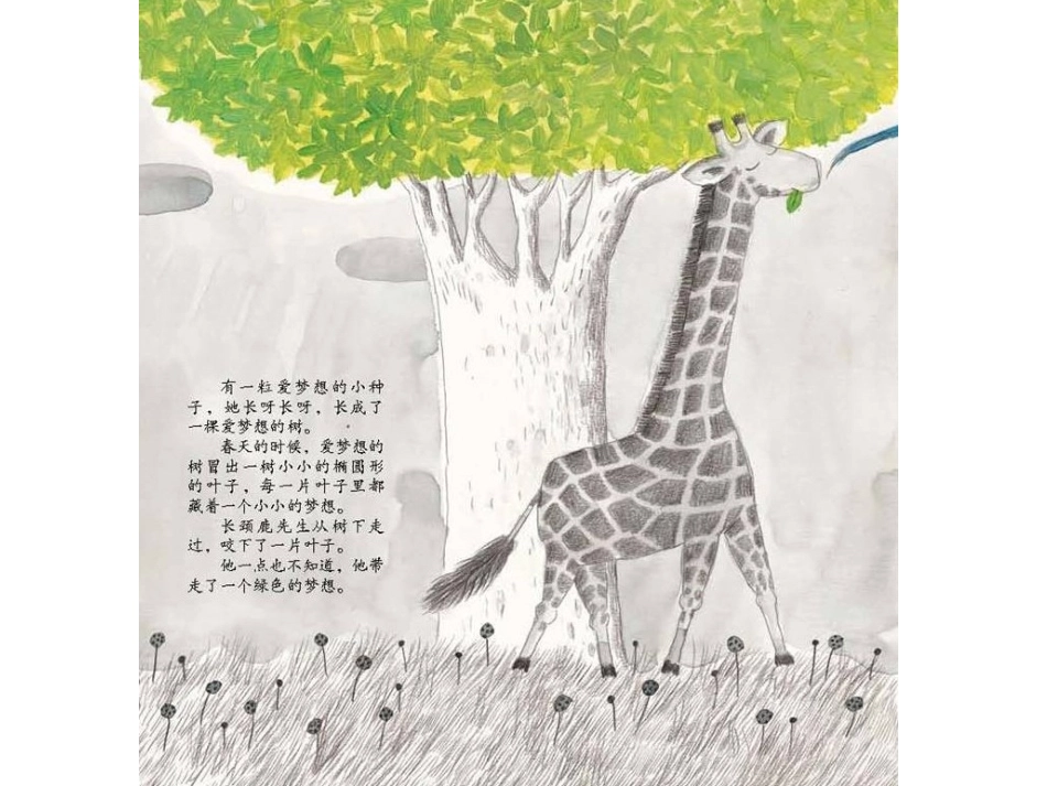 爱梦想的小种子_第2页