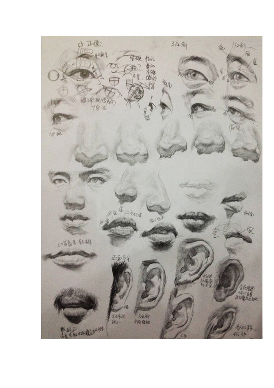 这样讲五官，素描头像你应该不怕了_第2页