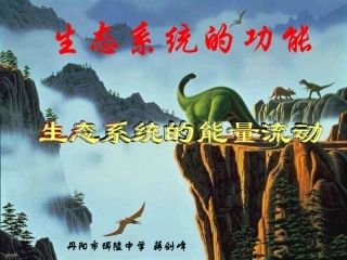 生态系统的功能－能量流动——蒋剑峰