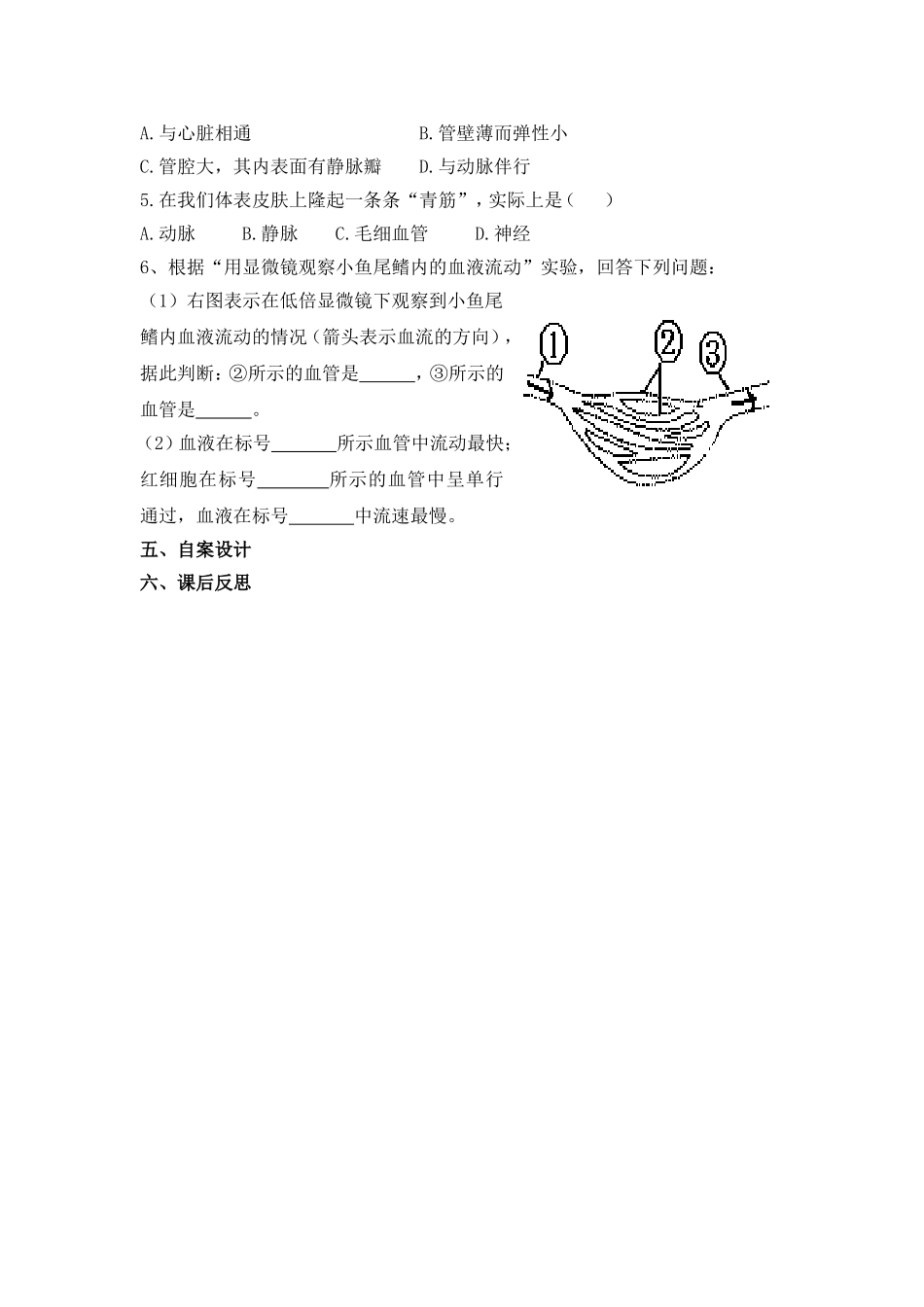 血流的管道——血管_第2页