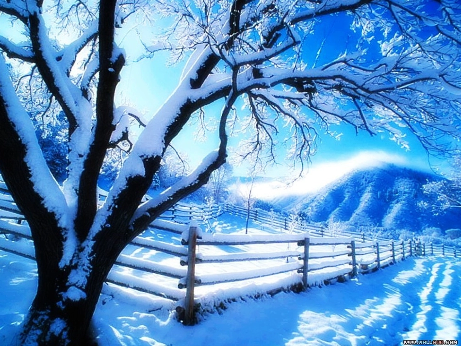 雪地里的小画家hao_第1页