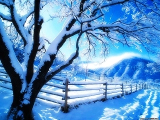 雪地里的小画家hao
