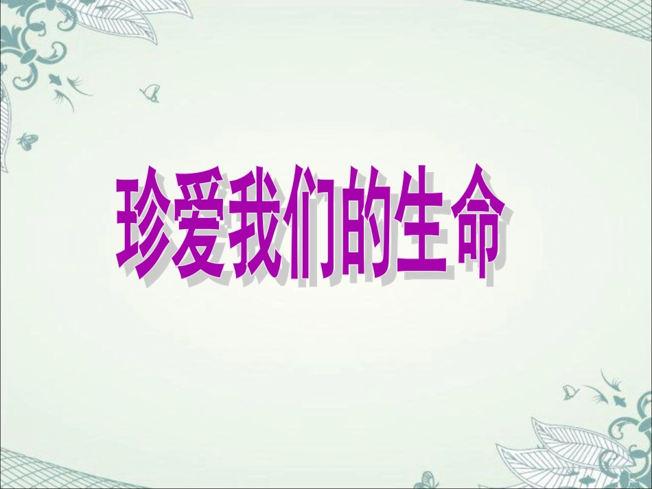 《珍爱我们的生命》课件_第1页