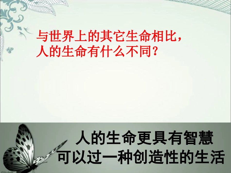 《珍爱我们的生命》课件_第3页