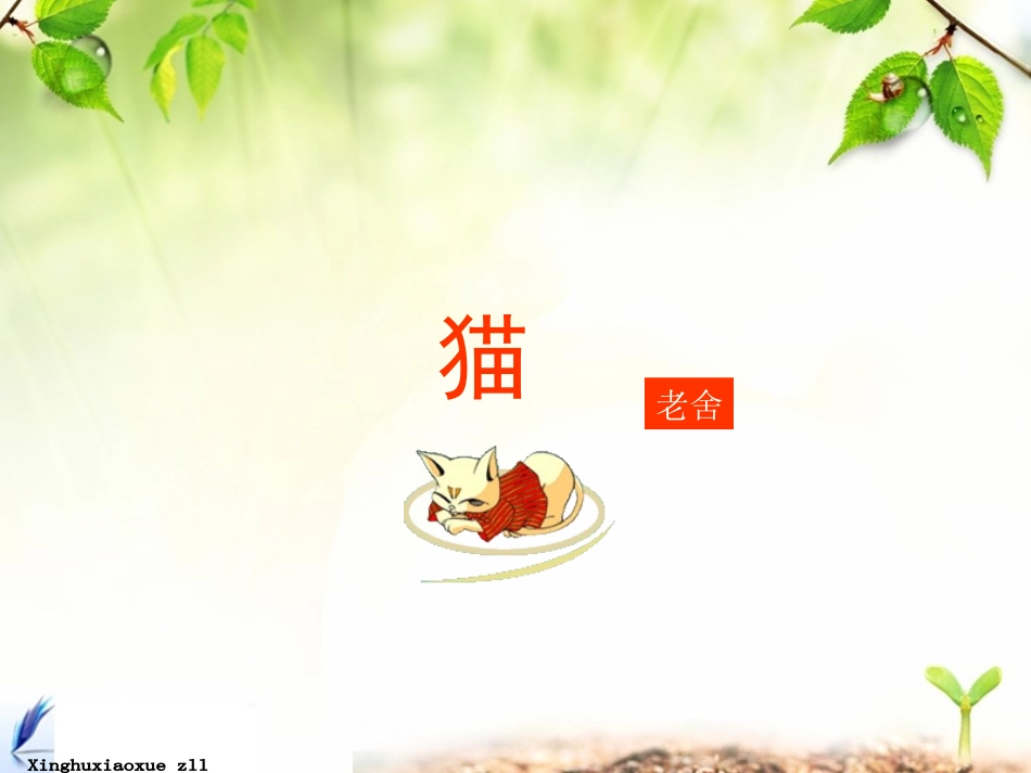 人教版四年级上册《猫》教学课件_第1页